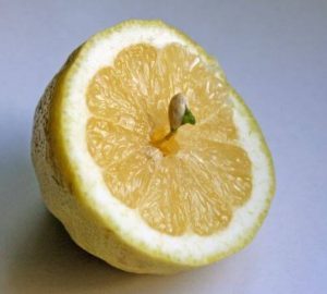 hechizo del limon para el amor