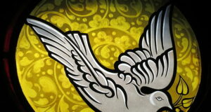 significado espiritual aves