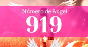 Numero de Angel 919